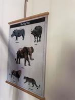 Poster wilde dieren oprolbaar, Kinderen en Baby's, Kinderkamer | Inrichting en Decoratie, Ophalen of Verzenden