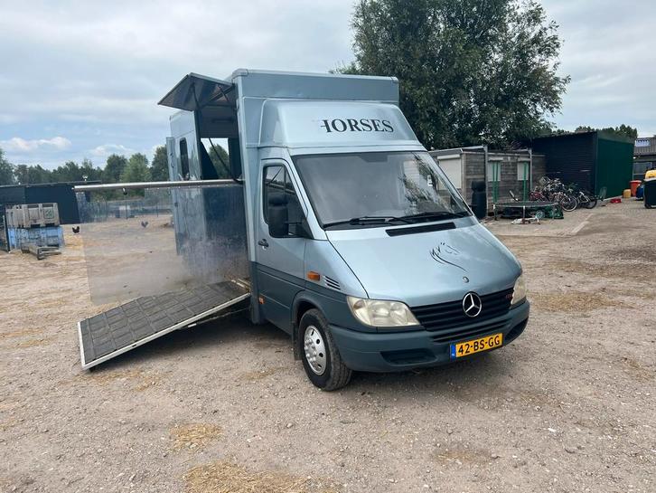 Mercedes-Benz Sprinter 2001 Paardenwagen, Auto's, Bestelauto's, Particulier, Airbags, Centrale vergrendeling, Radio, Trekhaak