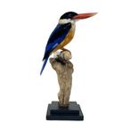 Ruim assortiment opgezette dieren en veel meer!, Ophalen of Verzenden, Nieuw, Overige soorten, Opgezet dier