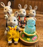 Sylvanian families gezin, Ophalen, Zo goed als nieuw