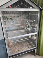 Vogelkooi/ binnen voliere, Ophalen, Gebruikt, Metaal, Volière