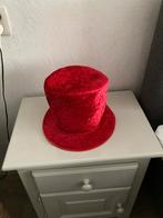 mooie carnavalshoed, Ophalen of Verzenden, Zo goed als nieuw, Carnaval, Kleding