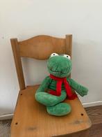 Kikker grote handpop Max Velthuis kinderboeken knuffel, Ophalen of Verzenden, Zo goed als nieuw