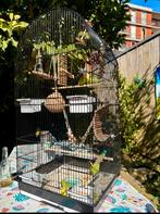 Zaadopvanger + vogelkooi, Ophalen, Zo goed als nieuw, Metaal, Vogelkooi