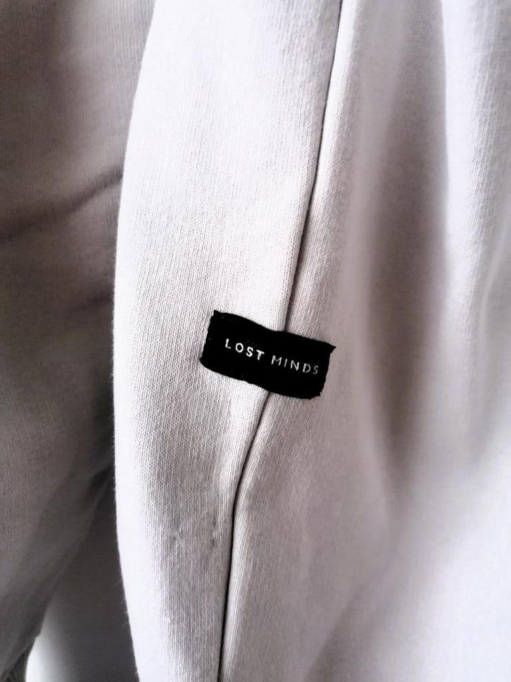 Lost Minds grijze zachte sweater, maat S, Kleding | Heren, Truien en Vesten, Gedragen, Maat 46 (S) of kleiner, Grijs, Ophalen of Verzenden