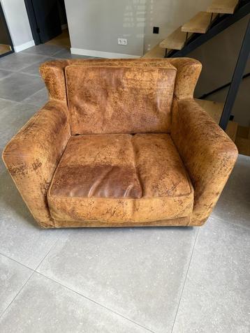 Baxter Mickey Extra beschikbaar voor biedingen
