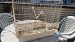 Vogelkooi 65x35, Dieren en Toebehoren, Vogels | Hokken en Kooien, Ophalen, Zo goed als nieuw, Vogelkooi