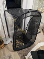 Flappentaken, Dieren en Toebehoren, Insecten en Spinnen, Wandelende tak