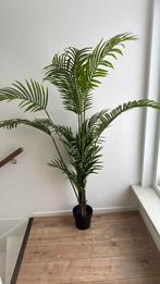 Kunstplant palm, Ophalen of Verzenden, Halfschaduw, 150 tot 200 cm