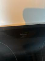 Pelgrim Inductie Kookplaat - Perfect voor uw keuken!, Ophalen, Gebruikt