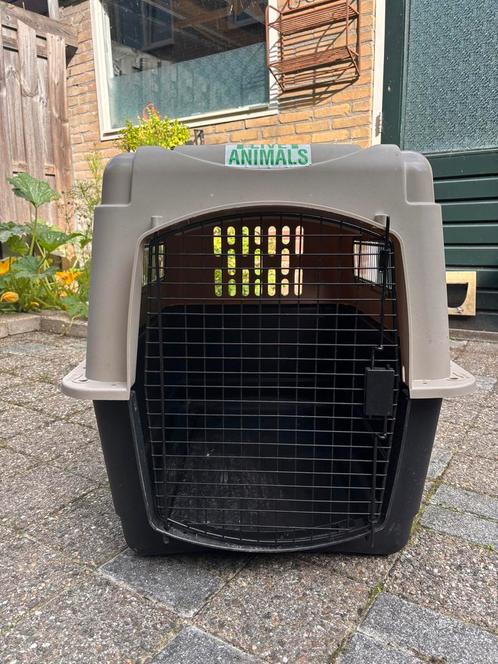 Petmate Vari Kennel 91 x 64 x 69 cm, Dieren en Toebehoren, Transportboxen, Zo goed als nieuw, Ophalen of Verzenden