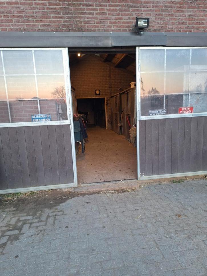 Wij bieden stalling voor paarden en ponnys bosrijke omgeving, Dieren en Toebehoren, Stalling en Weidegang, Stalling