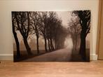 Canvas weg door bomen, Ophalen, Zo goed als nieuw