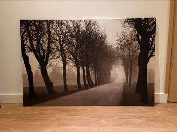 Canvas weg door bomen beschikbaar voor biedingen