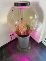 Biorb 105 liter met originele zuil, Ophalen of Verzenden, Zo goed als nieuw, Leeg aquarium