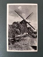 Ansichtkaart schenkmolen Den Haag, Ophalen of Verzenden, 1940 tot 1960, Ongelopen, Zuid-Holland