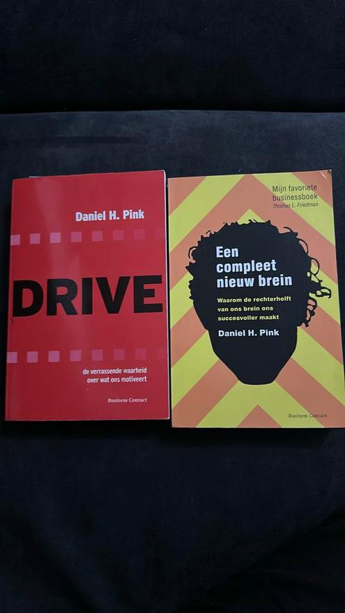 2 x Daniel H. Pink - Drive - een compleet nieuw brein, Boeken, Psychologie, Zo goed als nieuw, Ophalen of Verzenden