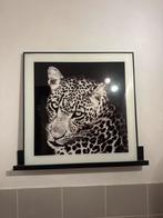 Panter Foto in Lijst, Huis en Inrichting, Woonaccessoires | Schilderijen, Tekeningen en Foto's, Ophalen, Zo goed als nieuw, Foto of Poster