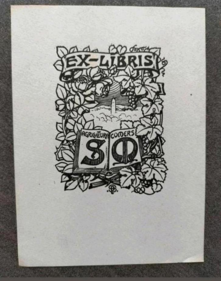 Exlibris SM (Peter Schnorr) (wijnrank, kerk, druiven, roos), Antiek en Kunst, Kunst | Etsen en Gravures, Ophalen of Verzenden