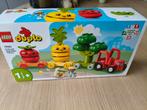 Duplo 10982 groente trein, Ophalen of Verzenden, Zo goed als nieuw, Overige merken