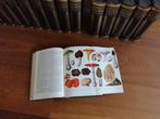 Oosthoek's encyclopedie 4e druk, Boeken, Encyclopedieën, Gelezen, Complete serie, Diverse auteurs, Ophalen of Verzenden