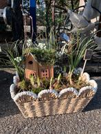 Mooie voorjaarsbollen in mand, Vaste plant, Halfschaduw, Lente, Ophalen