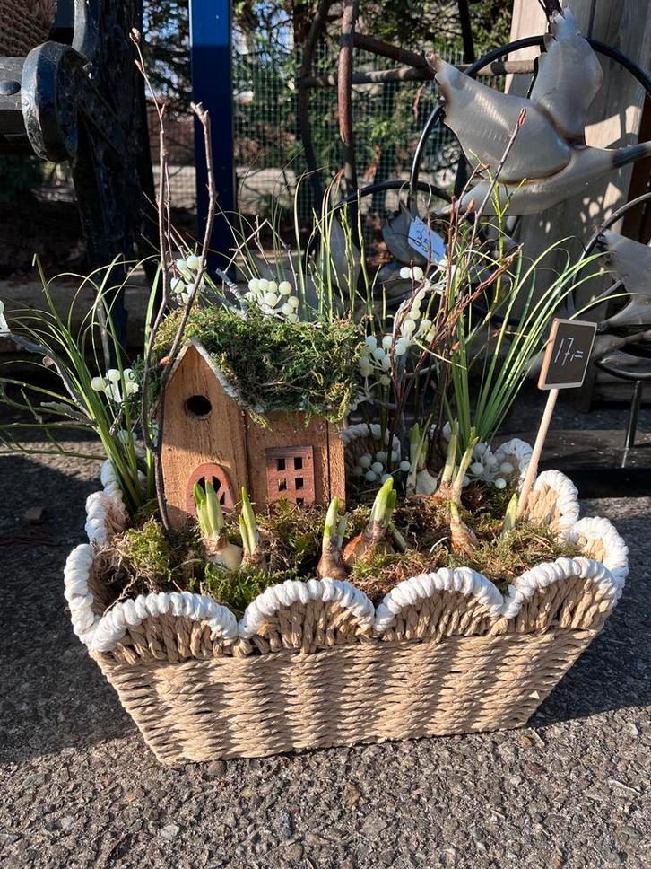Mooie voorjaarsbollen in mand, Tuin en Terras, Planten | Tuinplanten, Vaste plant, Overige soorten, Halfschaduw, Lente, Ophalen