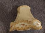 Oud lampenkapje met roosjes, Antiek en Kunst, Antiek | Lampen, Ophalen