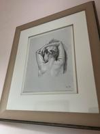 Ingelijst kunstwerk Francine van Hove The Nose in the Pillow, Antiek en Kunst, Kunst | Litho's en Zeefdrukken, Ophalen of Verzenden