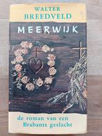 Meerwijk, Ophalen of Verzenden, Zo goed als nieuw, Spiritualiteit algemeen, Achtergrond en Informatie