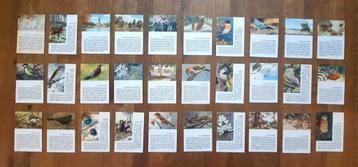 Oude plaatjes - Nationaal park de Hoge Veluwe beschikbaar voor biedingen