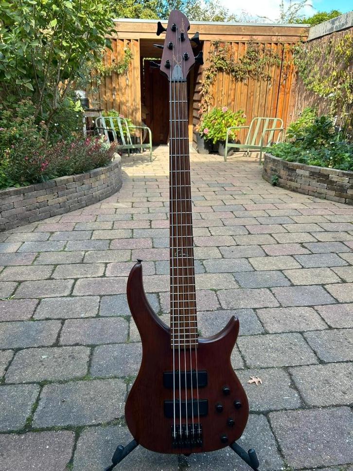 Peavey Cirrus BXP 5 string Walnut met USA Cirrus preamp, Muziek en Instrumenten, Snaarinstrumenten | Gitaren | Bas, Gebruikt, Elektrisch