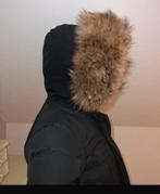 Winterjas woolrich, Ophalen of Verzenden, Zo goed als nieuw, Woolrich, Maat 36 (S)