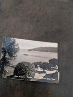 557 Ansichtkaart Lago Maggiore  hotel Bella Vista, Ophalen of Verzenden, 1980 tot heden