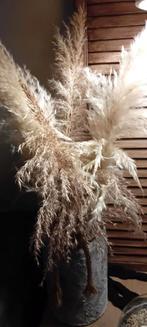 Twee grote Pampa grasplanten - roze en wit, Ophalen, Overige soorten, Volle zon