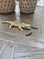 Playmobil 6644 Krokodillen Familie, Ophalen of Verzenden, Zo goed als nieuw, Jongen of Meisje