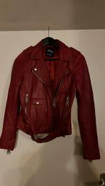 Nikkie disney donald duck jas 36, Ophalen of Verzenden, Nikkie, Maat 36 (S), Gedragen