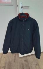 Tommy Hilfiger Winterjas Blauw Maat L, Maat 52/54 (L), Blauw, Tommy Hilfiger, Ophalen of Verzenden