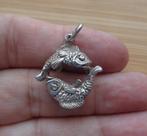 zilveren hanger sterrenbeeld vissen [745], Verzenden, Zo goed als nieuw, Kruis of Symbool, Zilver