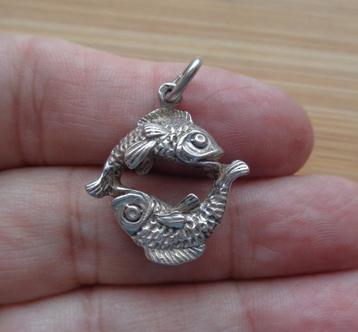 zilveren hanger sterrenbeeld vissen [745] beschikbaar voor biedingen