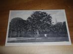 Erichem ( Buren ), Verzenden, Ongelopen, Gelderland