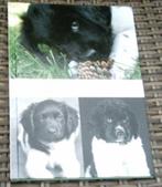 Het opvoeden van een Stabij- of een Wetterhounpup., Ophalen of Verzenden, Zo goed als nieuw, Honden