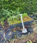 Stenen klinkers tegels voor in je tuin en of looppad, Klinkers, Ophalen of Verzenden, Zo goed als nieuw, 10 m² of meer