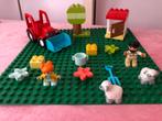 Duplo boerderij bouwstenen set met grondplaat dieren foto 2, Kinderen en Baby's, Speelgoed | Duplo en Lego, Ophalen of Verzenden