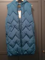 Medicine vest, Kleding | Dames, Blauw, Maat 42/44 (L), Nieuw, Ophalen of Verzenden