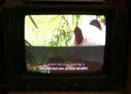 Panasonic crt tv voor retro gaming, bieden vanaf €24, Ophalen, Gebruikt, 40 tot 60 cm, Panasonic