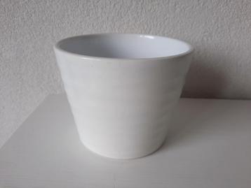 Leuke Kleine Witte Bloempot voor Orchidee beschikbaar voor biedingen