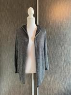 Grijs zlver dames vest maat M, Ophalen of Verzenden, Zo goed als nieuw, Maat 38/40 (M), Overige kleuren