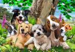Selfie behang hondjes, puppy, honden *Muurdeco4kids, Kinderen en Baby's, Kinderkamer | Inrichting en Decoratie, Nieuw, Wanddecoratie