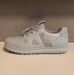 Sneaker van Camper (Camperlab) - mt.43 - Grijs, Overige kleuren, Camper, Ophalen of Verzenden, Sneakers of Gympen